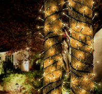 Lichtkettingsysteem Lichtketting Warm wit Polarlite Combine & Shine