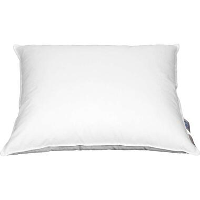 Polydaun Home Collection hoofdkussen Dons   60x70 cm   Leen Bakker