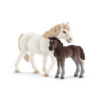 Pony merrie en veulen