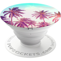 Palm Trees