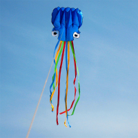 Portable Colorful Octopus Soft Outdoor Sport Flying Kite 5.5M