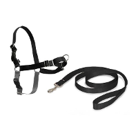 Easy Walk Tuig voor de hond Large