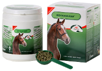 420 Gr Primeval Stressless Paard