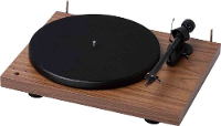 Project: Debut Record   Walnut
