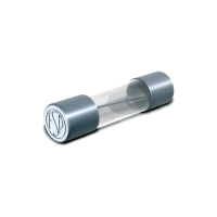 Püschel Feinsicherungen 129.000 4A 129.000 4A G zekering insert (Ø x l) 5 mm x 25 mm 4 A 500 V Normaal  mT  Inhoud 1 stuk(s) Carton