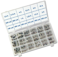 Püschel Feinsicherungen SORTI18TB SORTI18TB Buiszekering (Ø x l) 5 mm x 20 mm Traag  T  Inhoud 180 stuk(s)