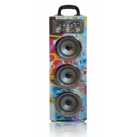 Pure Acoustics: Mcp 30 Karaoke Set   Grafiti