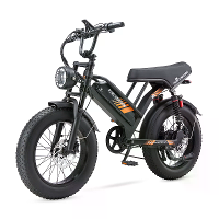 [EU DIRECT] URE UNICORN U5 48V 19.2AH 1000W 20*4.0 Inch Elektrische Fiets 55 80KM Actieradius Maximale Belastbaarheid 15