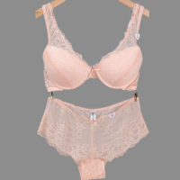 Push Up Lace Sexy Luxurious Temptation Bra Underwear Sets Gather Adjustable Brassiere