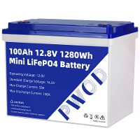 PWOD 12.8V 100Ah 1280Wh Mini LiFePO4 Accupakket Graad A Ingebouwde BMS Lithium Ijzer Fosfaat Voor RV EV Kamperen