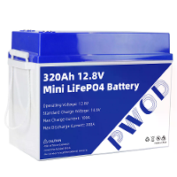 PWOD 12.8V 320Ah 3840Wh Mini LiFePO4 Accupackopslagdoos RV & Boot Lithium Accu Met ingebouwde BMS IP65 Beveiliging
