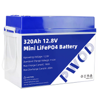 PWOD 25,6V 100Ah 2560Wh Mini LiFePO4 Batterijopslagbox RV & Boot Lithiumbatterij met ingebouwde BMS IP65 Bescherming