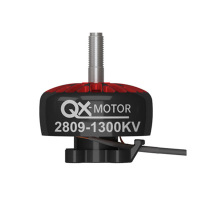 QX MOTOR 2809 800KV 1300KV 3 6S Brushless Motor 5mm As voor DIY 7/8/9 Inch Langeafstands RC Drone FPV Racing