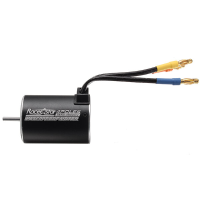 Racerstar 3650 Motor Borstelloze Waterdichte Sensorloze 1/10 RC Car Part 5900/4300/3900 / 2300KV