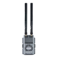 Radiomaster Nomad 2.4GHz/868/900MHz Dual 1 Watt Dual Band Transceivers Gemini Xrossband ExpressLRS ELRS Module voor DBR4
