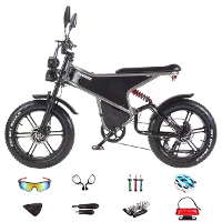 [EU DIRECT] RANDRIT DM711 Elektrische Fiets 48V 20Ah 1000W*2 Dual Motor 20 Inch Banden Elektrische Fiets 50 60KM Actiera
