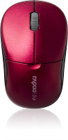Rapoo Rp1090pred