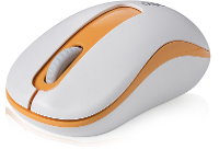 Rapoo Rpm10or