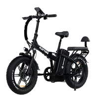 RATTAN LM ULTRA Elektrische Fiets 48V 40.5AH Accu 750W Motor Aanbevolen Topsnelheid 25KM/H 20 Inch Band Elektrische Fiet