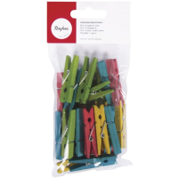 Kleine Houten knijpers   24x stuks   gekleurd mix   4,5 cm