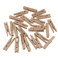 Rayher Hobby mini wasknijpers   4.5 Cm   24x   hobby/knutsel materiaal