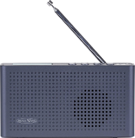 Reflexion Sonstiges / Radios Radio DAB+, DAB, VHF (FM) Voelbare toetsen Zwart