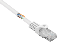 Renkforce RF 5044010 RJ45 Netwerkkabel, patchkabel CAT 5e U/UTP 3.00 M Wit Snagless 1 stuk(s)