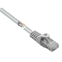 Renkforce RF 5047508 RJ45 Netwerkkabel, patchkabel CAT 5e U/UTP 0.50 M Grijs Snagless 1 stuk(s)