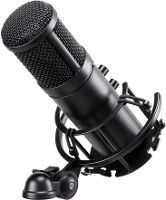Renkforce ST 60 USB USB studiomicrofoon Incl. Shockmount, Incl. Kabel