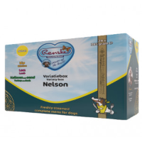 Renske Variatiebox Nelson vers gestoomd natvoer hond 1 tray (24 x 395 g)