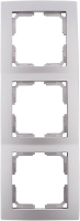 Rev Frame Platina 0208832304