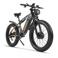 [EU DIRECT] Rijke beet C01 Elektrische Fiets 48V 20Ah Batterij 750W*2 Dubbele Motoren Aanbevolen Topsnelheid 25KM/H 26*4
