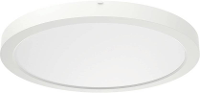 RIDI 322095 322095 LED plafondlamp LED Wit