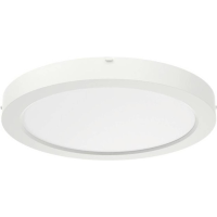 RIDI 332094 332094 LED plafondlamp LED LED vast ingebouwd 17 W Wit