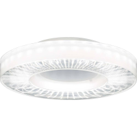 RIDI SPI0000076 SPI0000076 LED plafondlamp LED Lichtbron niet vervangbaar 35 W