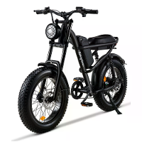 [EU DIRECT] Rijden tijden Z8 Elektrische Fiets 48V 15Ah 500W 20*4.0 Inch Vetband Elektrische Fiets 90 120km Max Bereik D