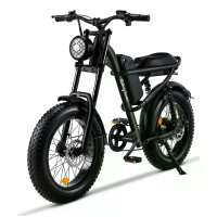 [EU DIRECT] Z8 Elektrische Fiets 48V 15A 500W 20*4.0 Inch Vet Band Elektrische Fiets 90 120km Maximale Bereik Dubbele Me