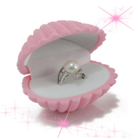 Ring Stud Earrings Velvet Gift Box Shell Jewelry Case Storage