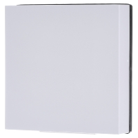 Ritto by Schneider 1876670 Deurintercomaccessoire Wit