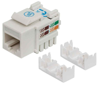 Intellinet 210591 RJ45 inbouwmodule Keystone CAT 6