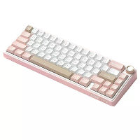 RK RKR65 Tri mode Mechanisch Gaming Toetsenbord met Knop Hot verwisselbaar Gasket Structuur 66 toetsen RGB Yanyu Schakel