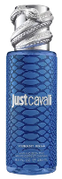 Roberto Cavalli Vibrant Aqua Hair & Body Mist