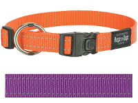 Rogz For Dogs Fanbelt Halsband Voor Hond Paars 20 Mmx34 56 Cm