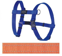 Rogz For Dogs Fanbelt Tuig Voor Hond Oranje 20 Mmx45 75 Cm