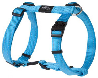 Rogz For Dogs Fanbelt Tuig Voor Hond Turquoise 20 Mmx45 75 Cm