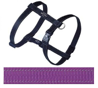 Rogz For Dogs Lumberjack Tuig Voor Hond Paars 25 Mmx60 101 Cm