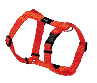 Rogz For Dogs Nitelife Tuig Voor Hond Oranje 11 Mmx20 36 Cm
