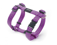 Rogz For Dogs Nitelife Tuig Voor Hond Paars 11 Mmx20 36 Cm