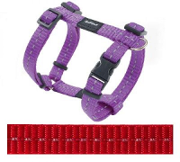 Rogz For Dogs Nitelife Tuig Voor Hond Rood 11 Mmx20 36 Cm
