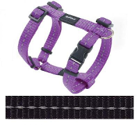 Rogz For Dogs Nitelife Tuig Voor Hond Zwart 11 Mmx20 36 Cm